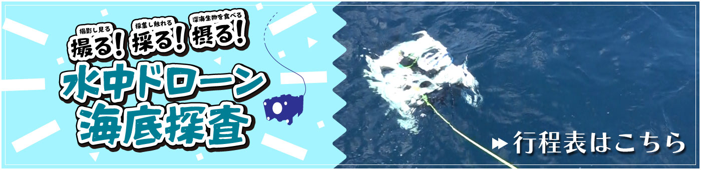 イベント行程表はこちら