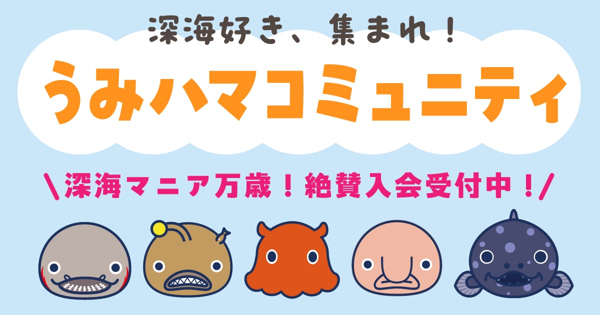 うみハマコミュニティ